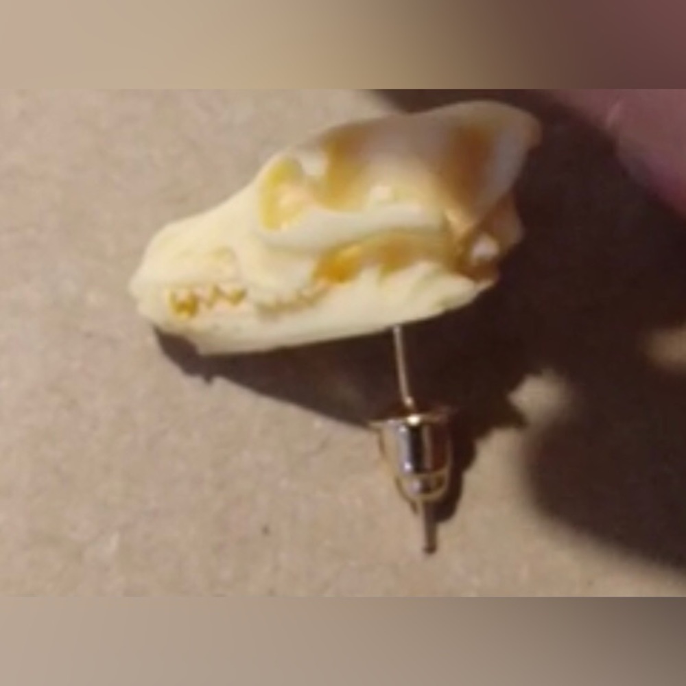 “Animal Skull” Dinosaur Sabertooth Wolf Dog Oddity Creepy Spooky Replica Studs - Picture 5 of 12